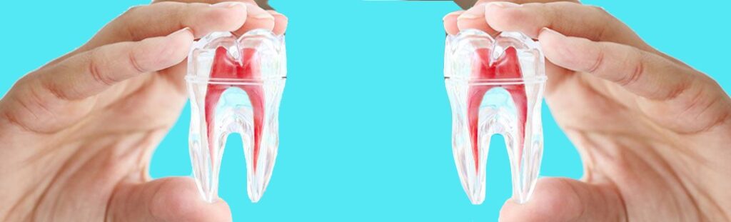 Smile Supreme: Unlock Your Best Smile with Top Dentist Expertise! Transform Your Dental Health Today for Lasting Confidence & Radiance!