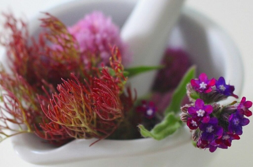 Natural Remedies For Healthy Teeth Healthy Teeth